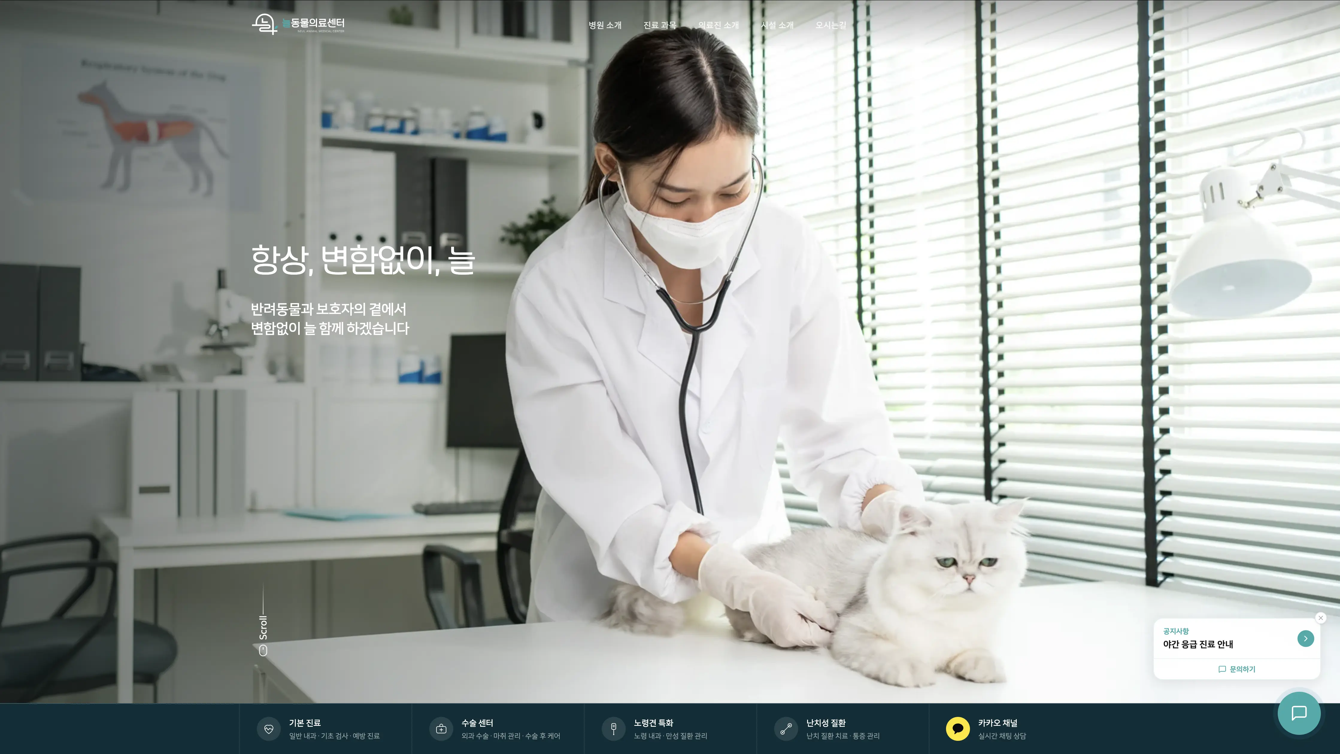 늘동물의료센터 홈페이지 사례