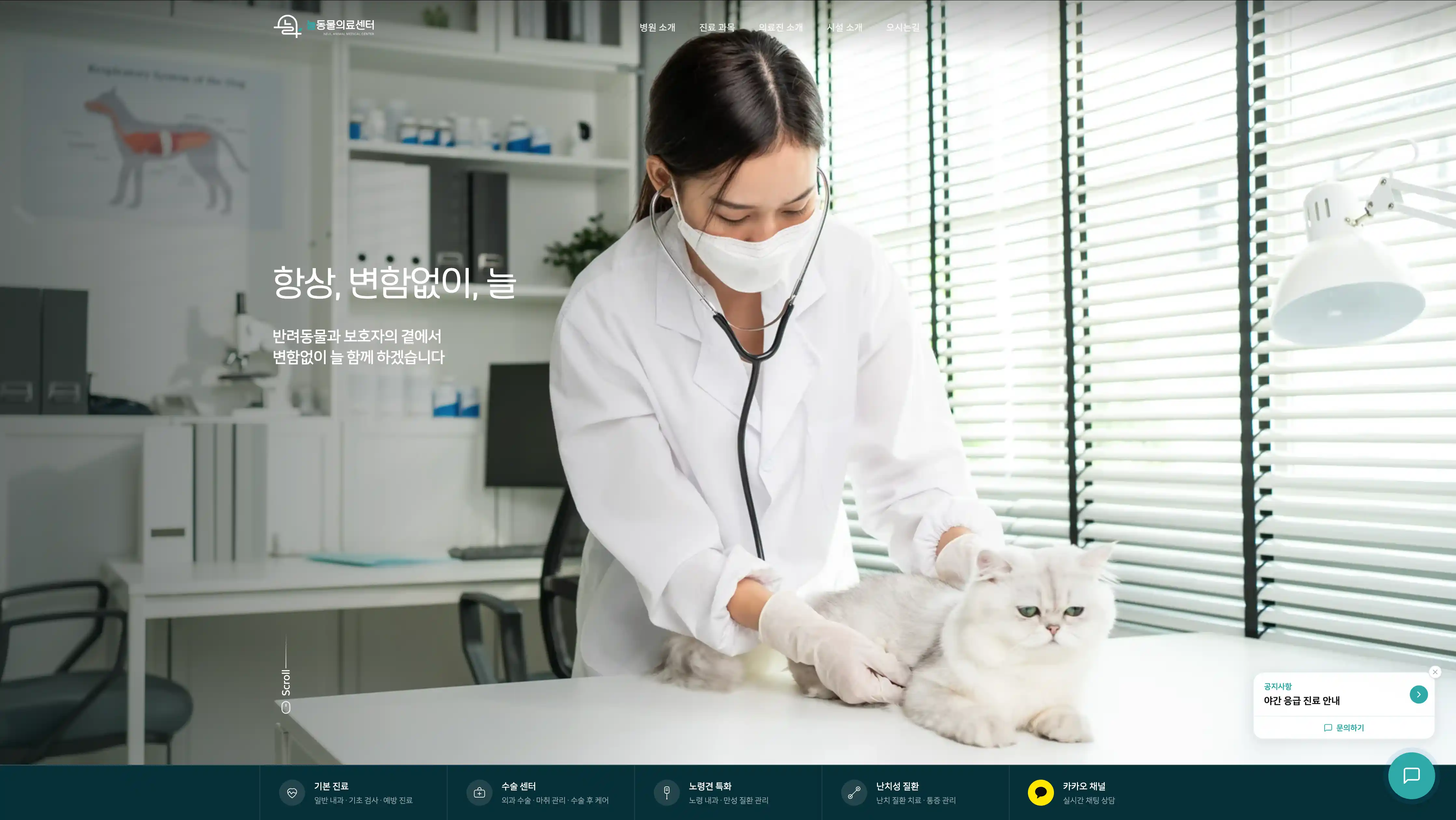 늘동물의료센터 히어로 섹션