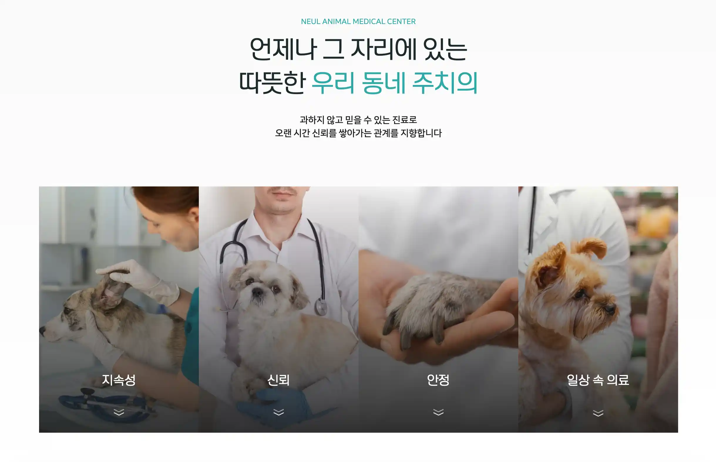 늘동물의료센터 진료과목 병원철학