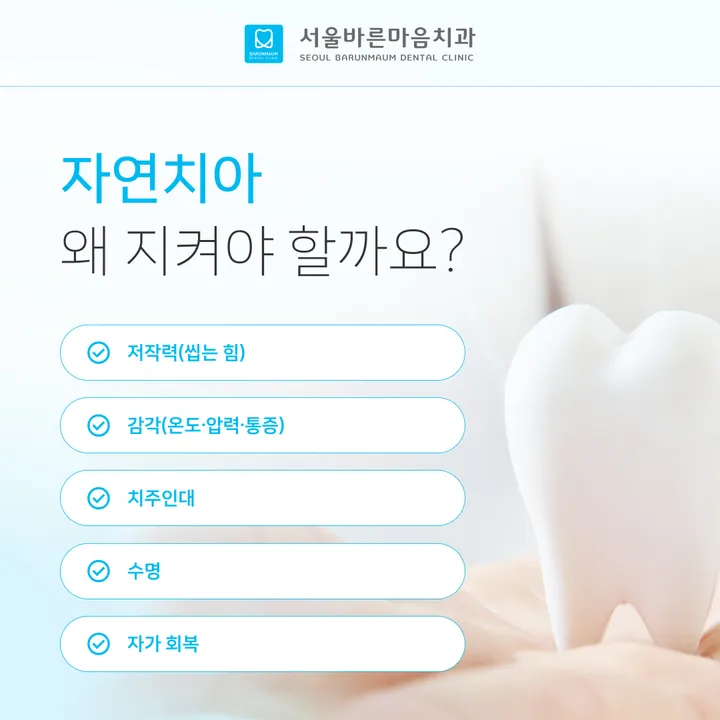 02_자연치아_서울바른마음치과.jpg
