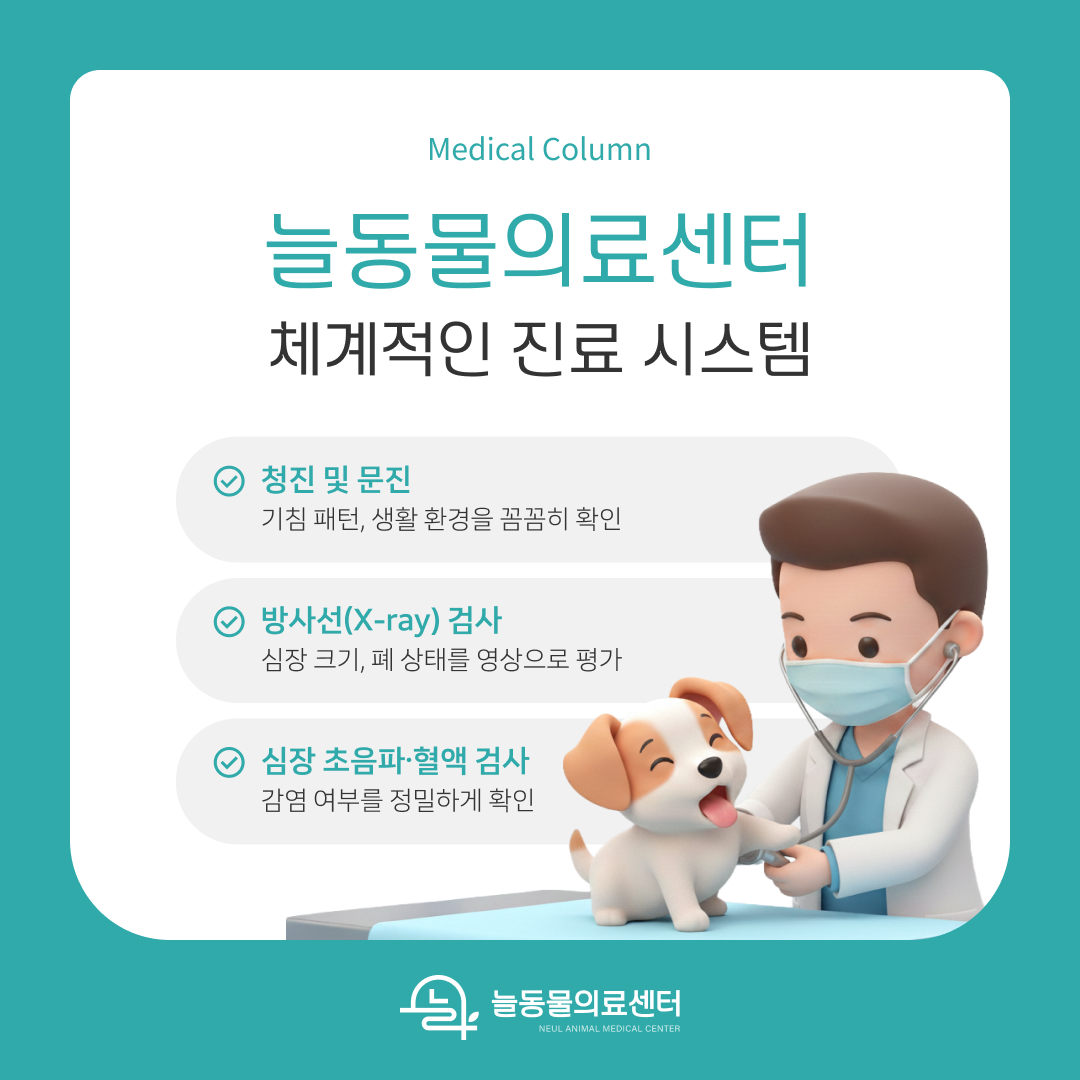 늘동물의료센터 강아지 기침 체계적 검사 과정 안내