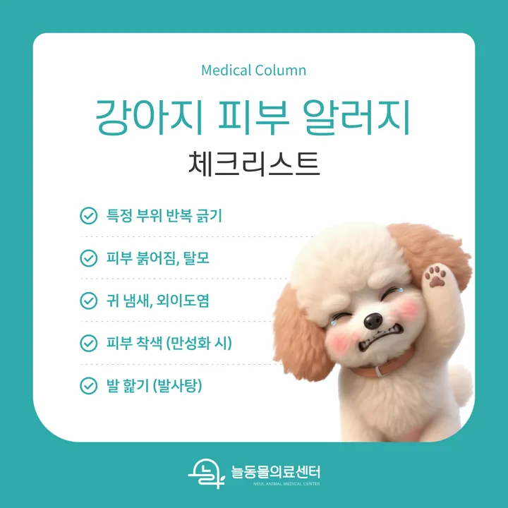 강아지 피부 알러지 증상 체크리스트