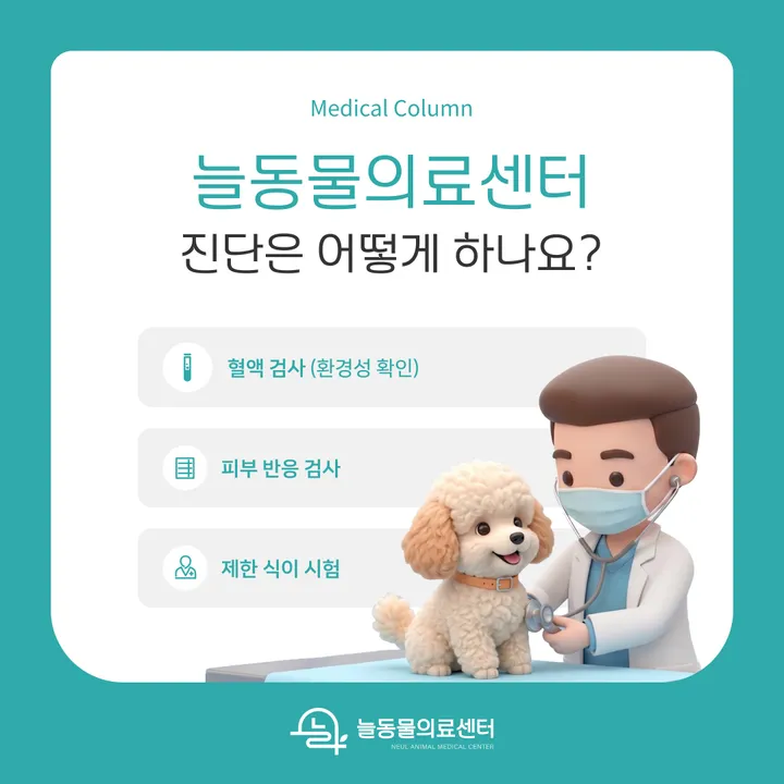 강아지 피부 알러지 진단 검사 방법