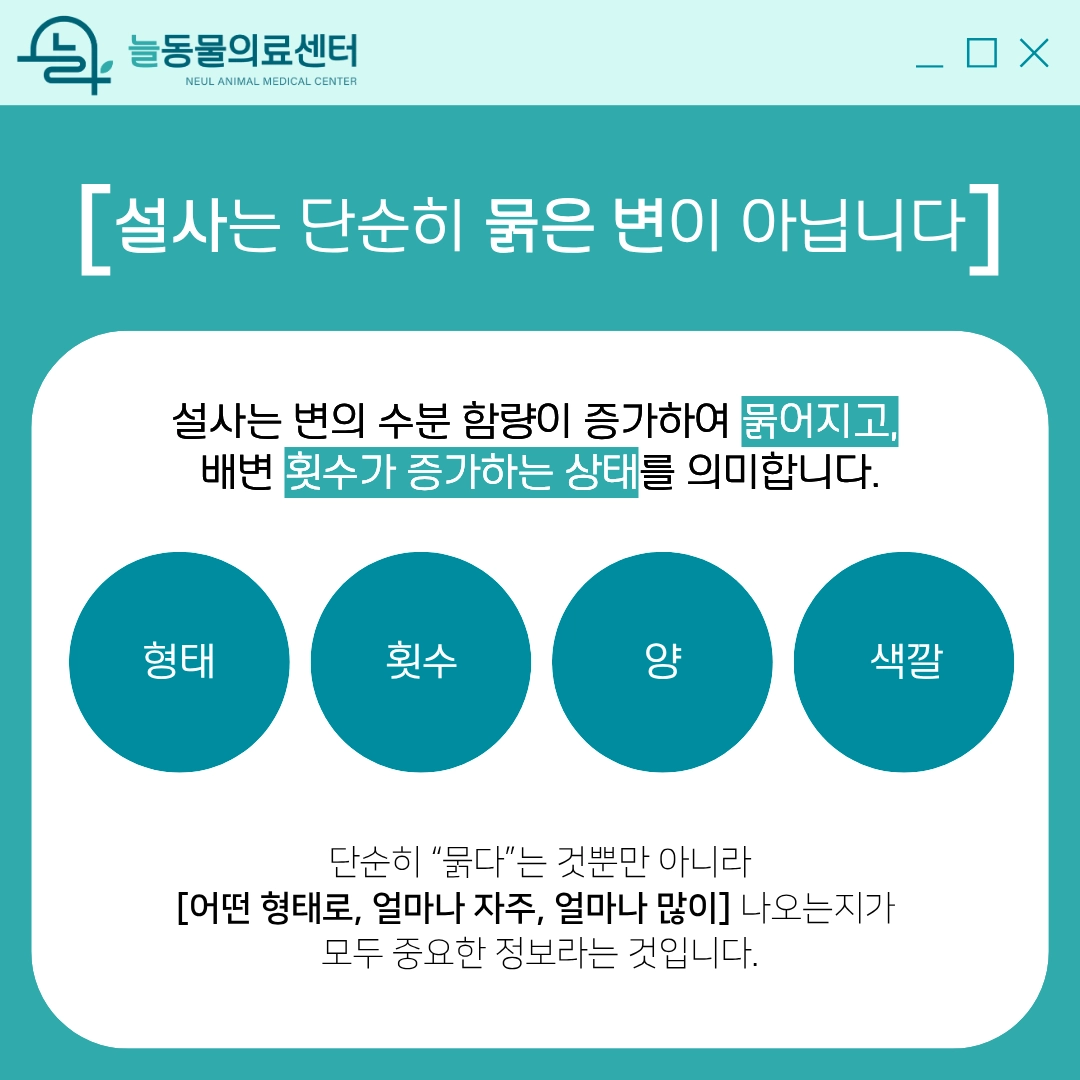 반려동물 설사의 의학적 정의