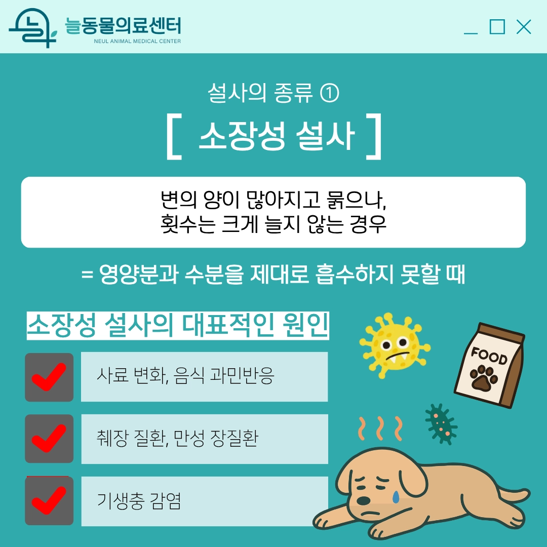 소장성 설사와 대장성 설사 비교