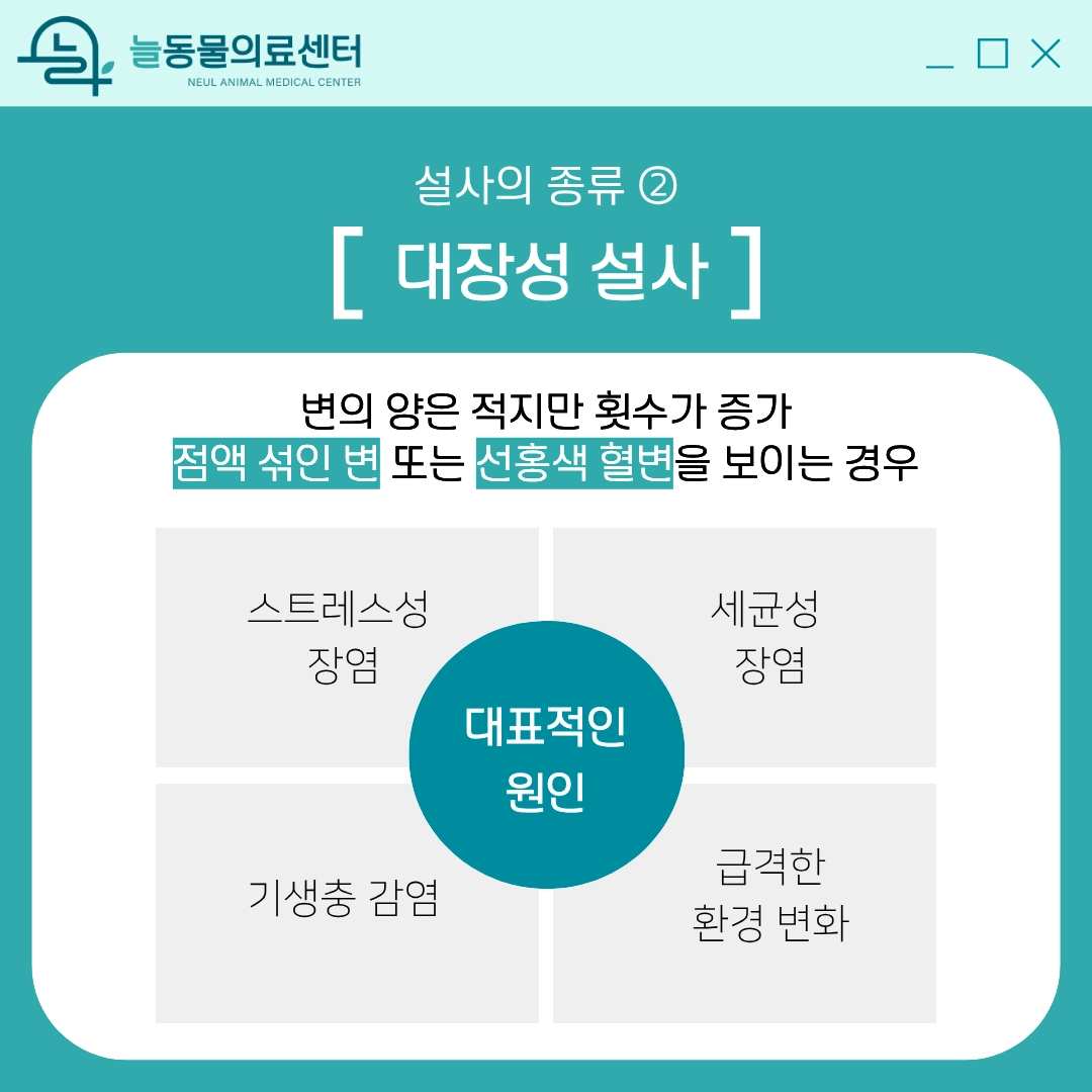 대장에서 기인한 설사 증상
