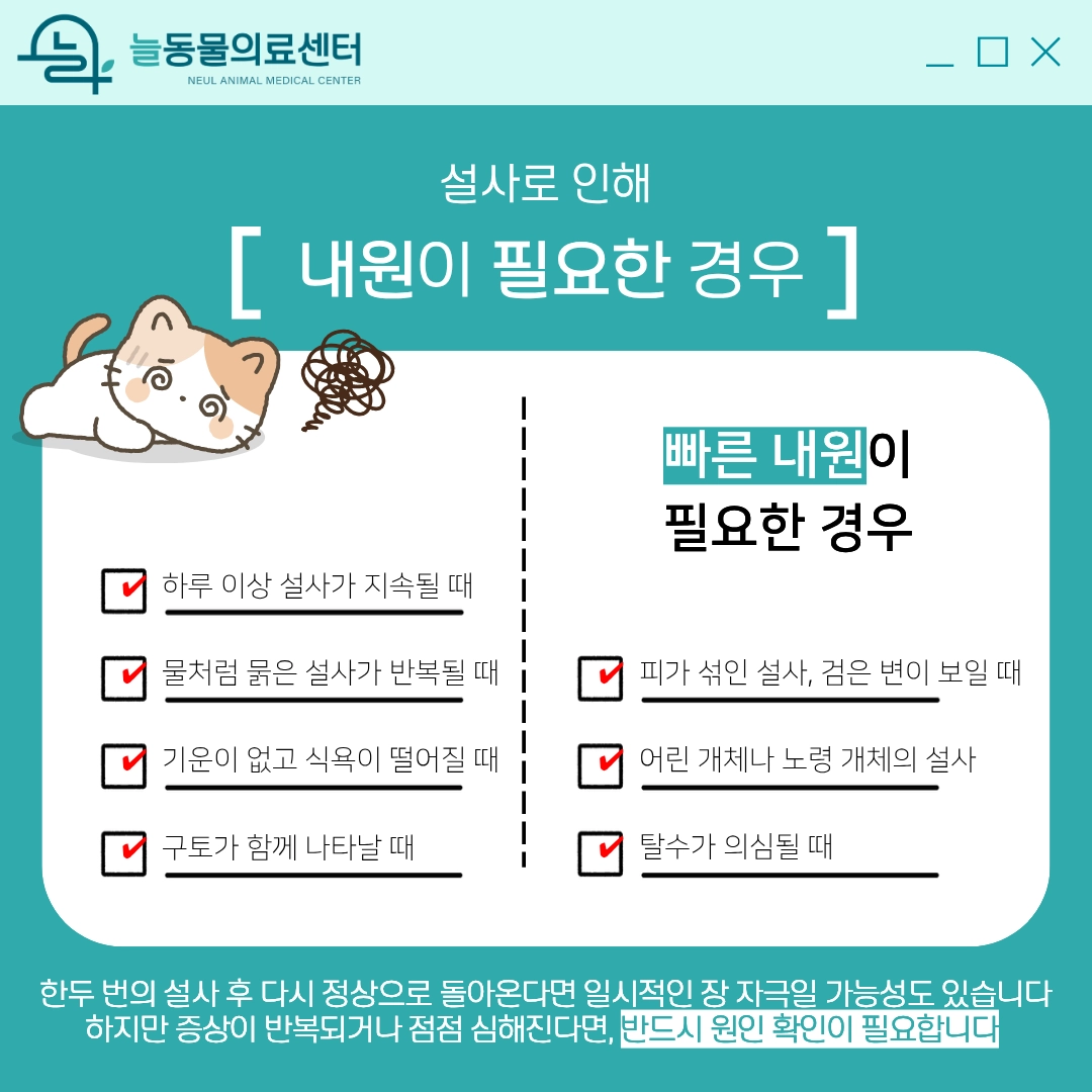 동물병원 내원이 필요한 설사 증상