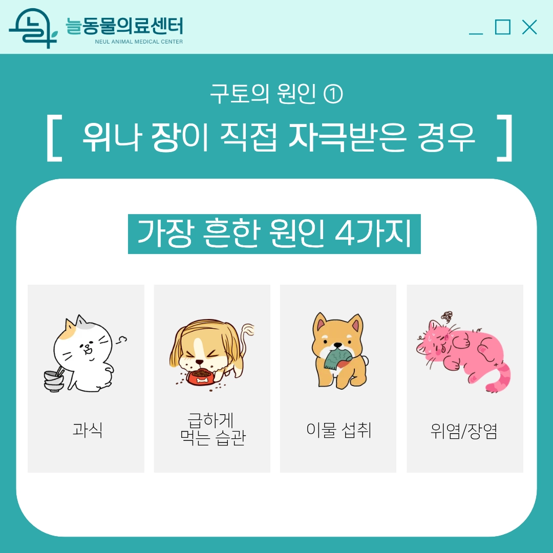 반려동물 구토 원인① 위와 장의 직접 자극 — 과식, 이물질, 위장염