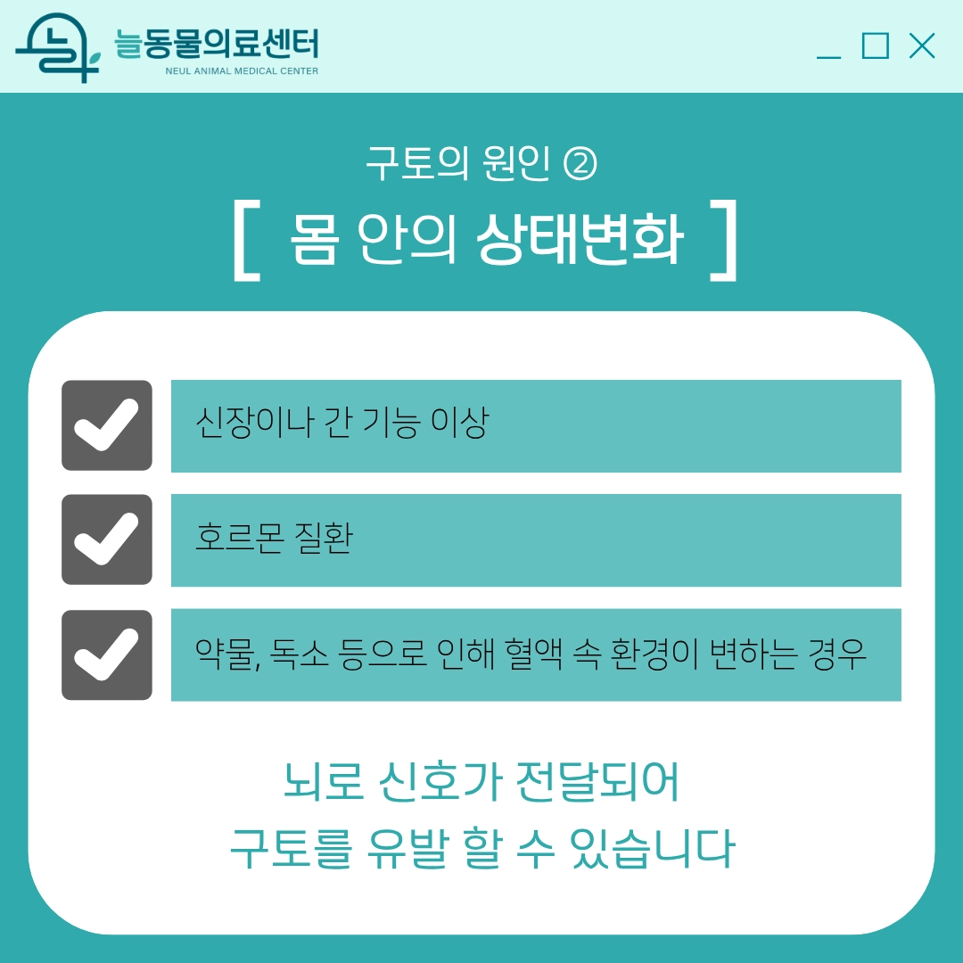 반려동물 구토 원인② 몸 안의 상태변화 — 신장 간 기능 이상, 호르몬 질환, 독소