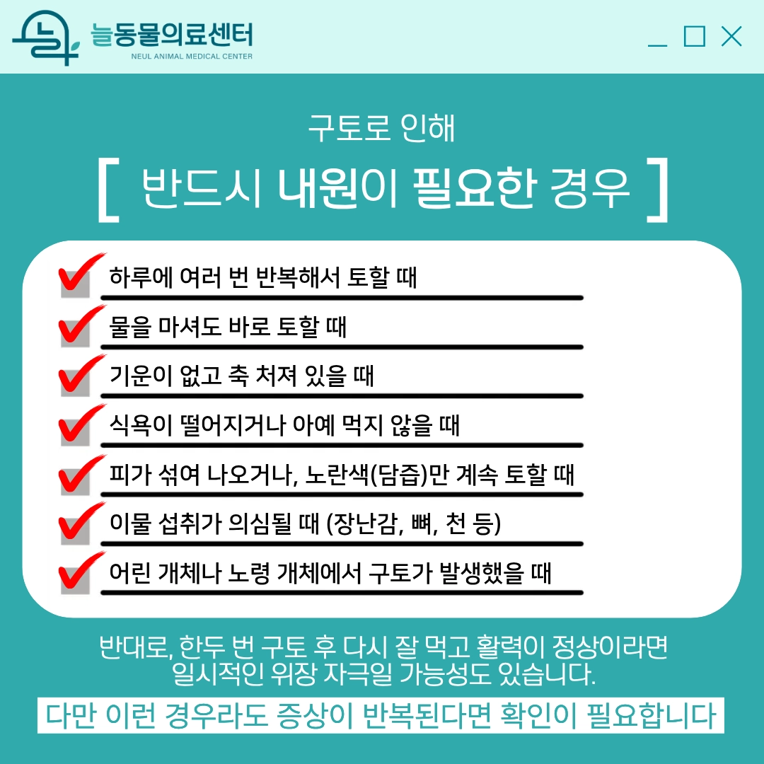 반려동물 구토 시 반드시 내원이 필요한 7가지 경우