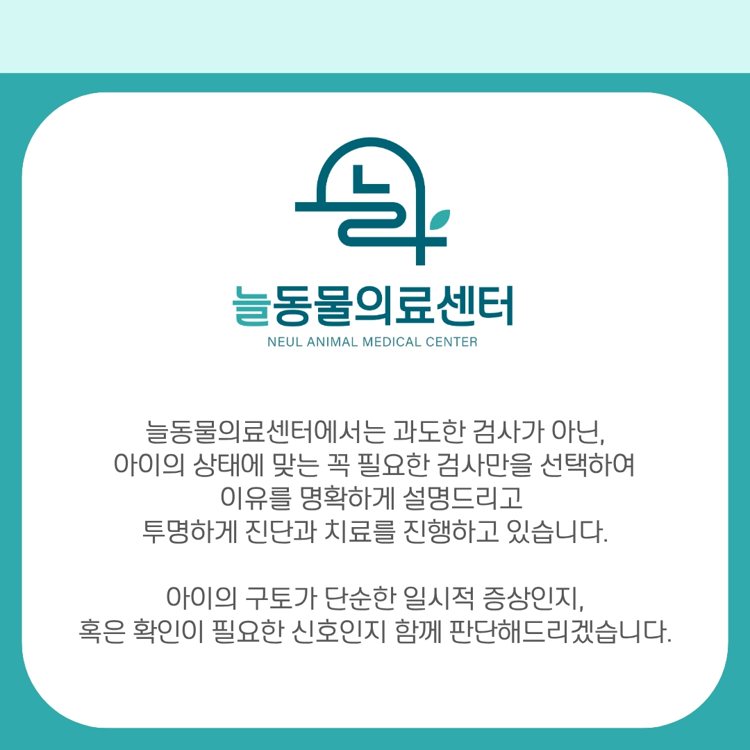 늘동물의료센터 투명한 진단과 치료 안내